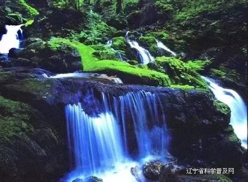 趣味高尔夫球无敌版