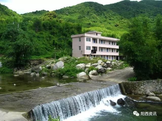 东川大蒜提前上市采收忙