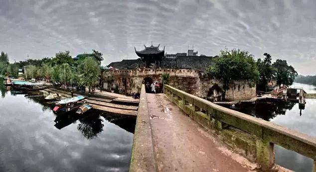五行属木带财运的字